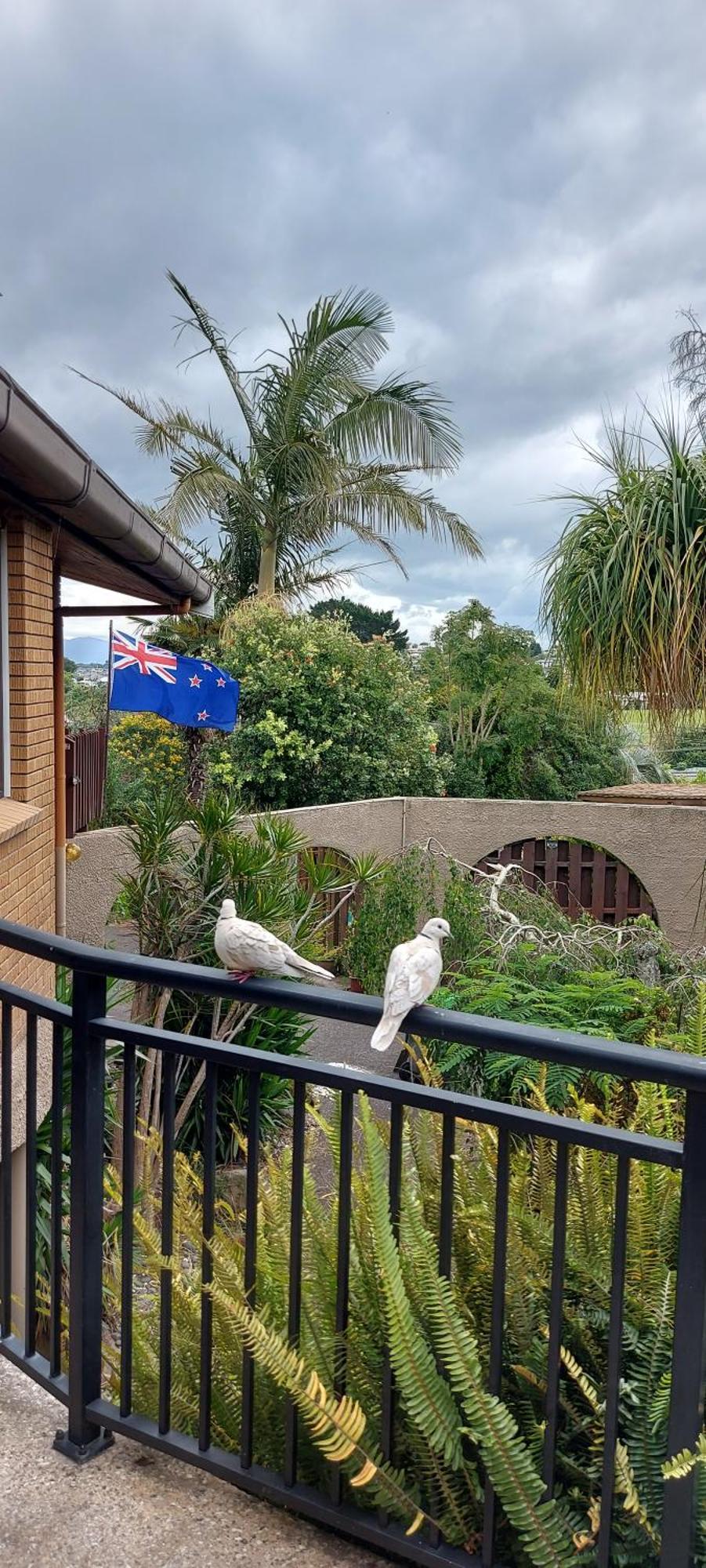 Haley'S Cabin Tauranga Exterior foto